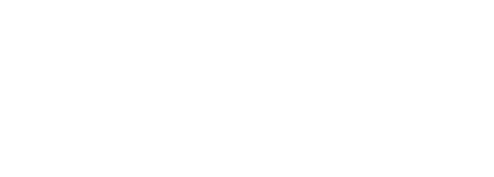 hostizyo logo